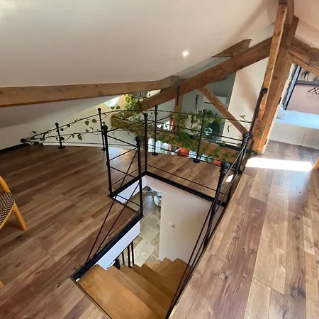 Atypical & Cozy Getaway דירה טולון